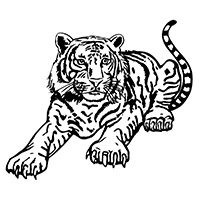 Tiger 432